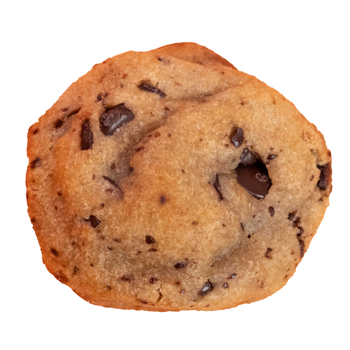 Chocolate Chip Cookie